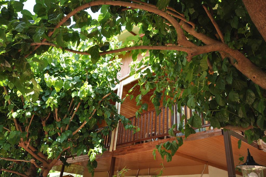Hotel Cesur Pansiyon à Çıralı Extérieur photo