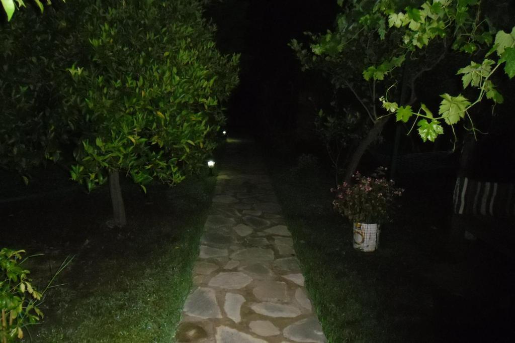 Hotel Cesur Pansiyon à Çıralı Extérieur photo