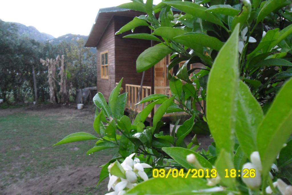 Hotel Cesur Pansiyon à Çıralı Chambre photo