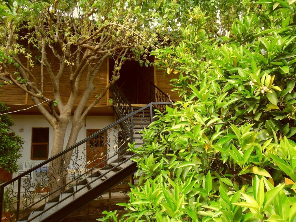 Hotel Cesur Pansiyon à Çıralı Extérieur photo