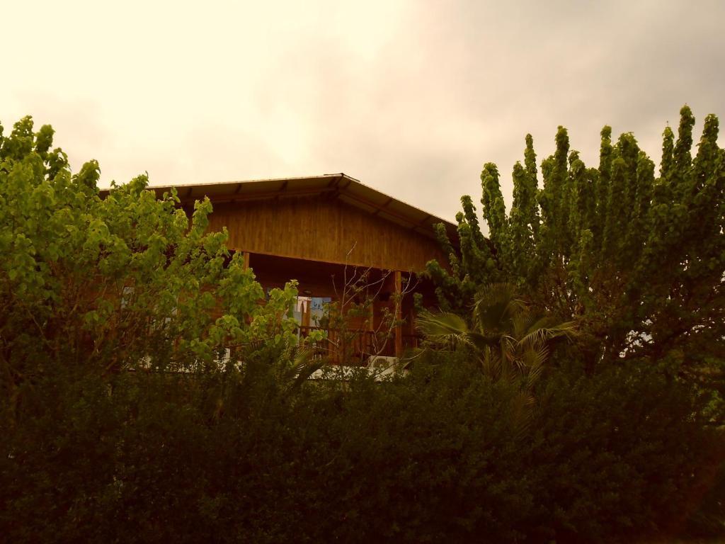 Hotel Cesur Pansiyon à Çıralı Extérieur photo